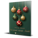 24_jours_avant_noel_broche_3d