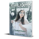 brisez_la_glace_brochee_3d