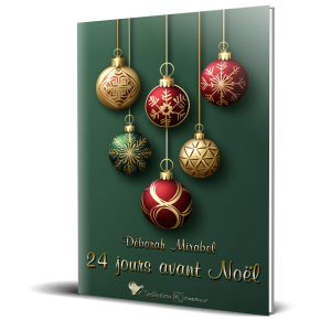 24_jours_avant_noel_broche_3d