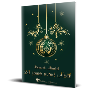 24_jours_avant_noel_relie_3d