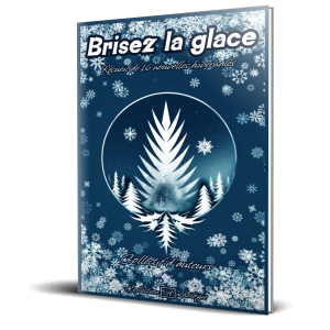 brisez_la_glace_reliee_3d