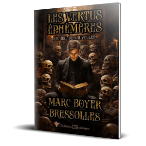 vertus_brochee_3d